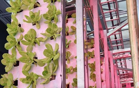 Urban Crop Solutions Agrotopia vertical farming tower