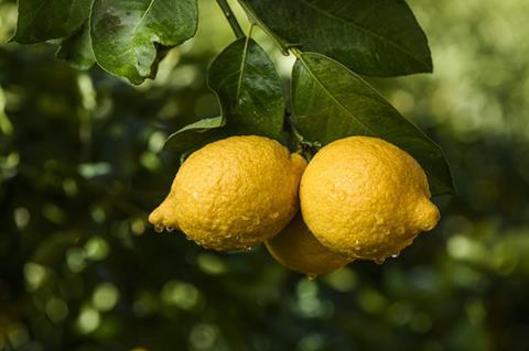 Foto: Lemon from Spain