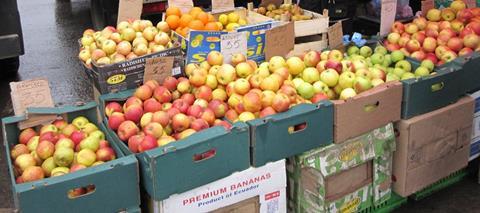 Russland: Deutliche Ausweitung der Apfelproduktion erwartet