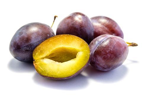 Foto: oxie99/AdobeStock