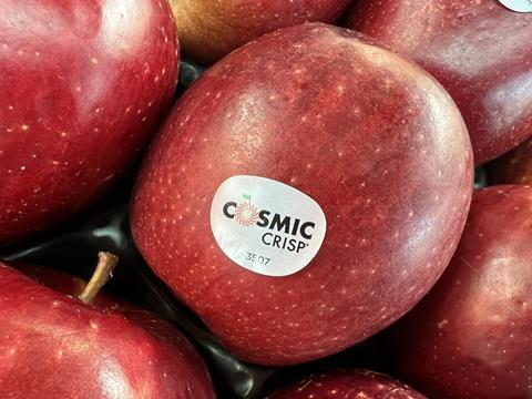 Cosmic Crisp apples