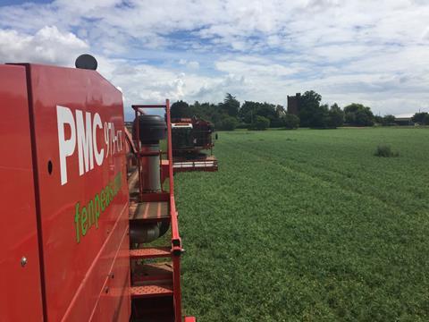 Fen peas viner