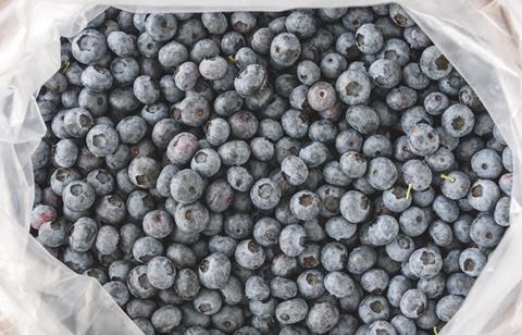 Duke blueberries plastic bag