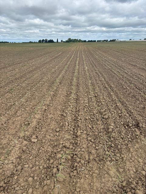 Summer droughts are becoming more frequent and intense in the UK