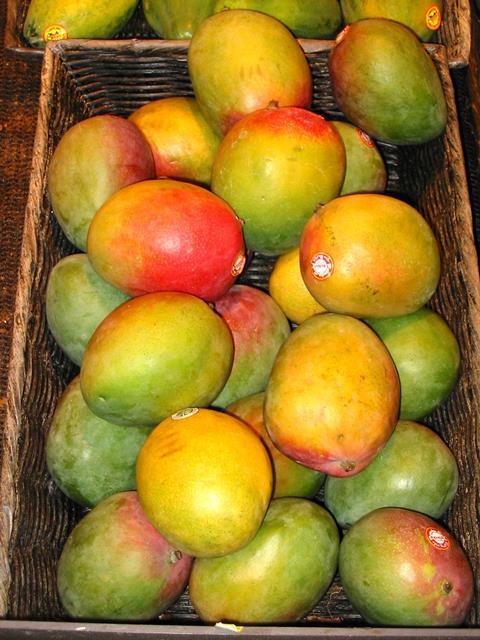 Indien_Mango_07.jpg