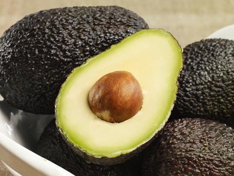 Avocado-01.jpg
