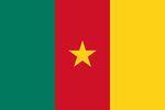 Kamerun: Unabhängigkeitskampf beeinträchtigt Bananenproduktion