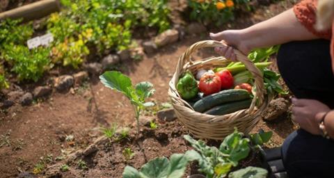 7d2c9db5-acef-4f93-8da1-0fd8f8e15c93_WUR partnership EIT Food - pexels-kampus-7658822_750x400