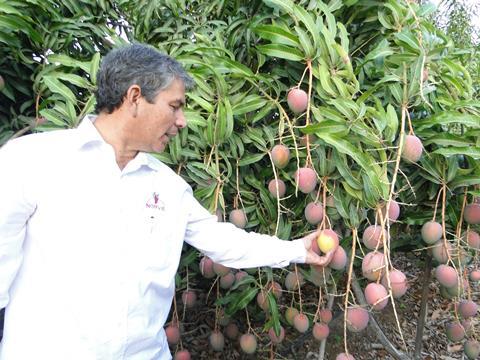 Empafrut_Direktor_Reynaldo_Hilbck_Guzmán_Mangos__1_.JPG