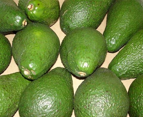 Kokain entdeckt in kolumbianischer Avocado-Lieferung