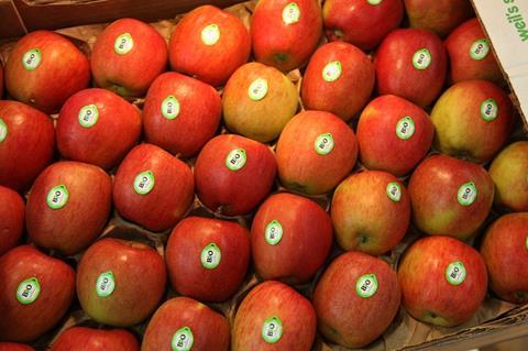 Erntedefizite bei Bio-Äpfeln in Europa