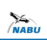 logo_nabu_01.jpg