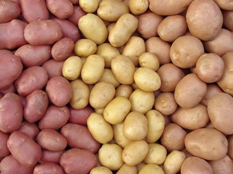 British potatoes were cut to 4p at some retailers over Easter