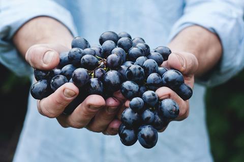 Foto: Unsplash