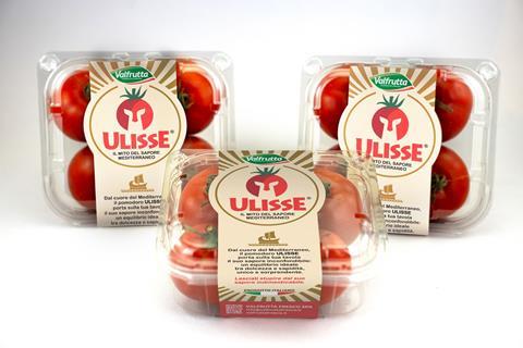 Ulisse tomatoes by Valfrutta Fresco