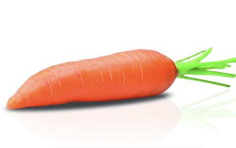 Carrot on white background