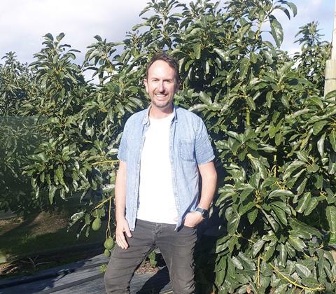 GM of the New Zealand Avocado Collective Jarrod Redwood