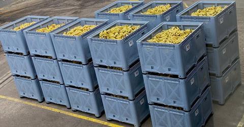 The Banana Factory bananas