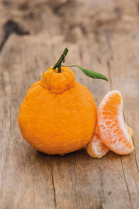 The sweet, seedless top-knotted fruit is stocked exclusively at Woolworths