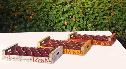 Royal A