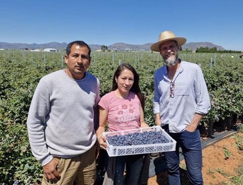 SanLucar blueberries