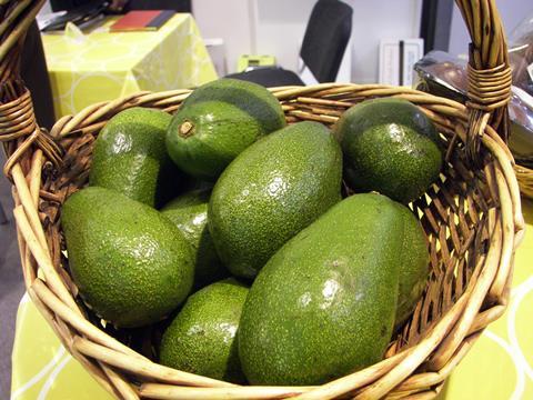 Fruit_Logistica_2008_Kenia_Avocado.jpg