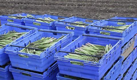 GPG European asparagus