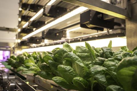 Stacked Farm's first facility in Gold Coast, Australia