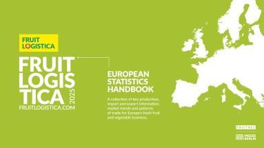 fl25_cover_europeanstatisticshndbook_1920x1080px_sdesk
