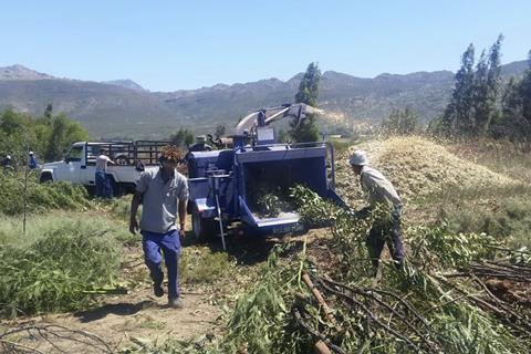 South Africa Western Cape Wrap clearing land of invasive species water conservation