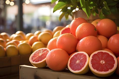 Florida grapefruit at a local market