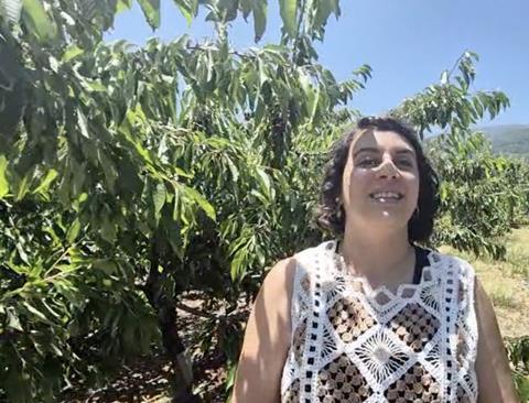 Picota Monica
