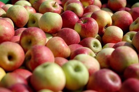 Frankreich: Geringste Apfelernte seit 10 Jahren
