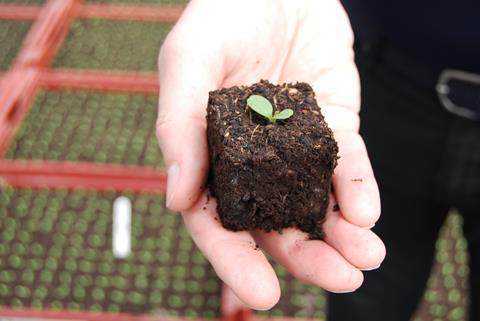 ICL's Levington Advance Blocking FT is 25 per cent peat-reduced