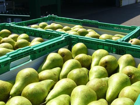 Belgien: Wegen Frösten nur 74.000 t Äpfel erwartet – Lage bei Birnen weniger dramatisch