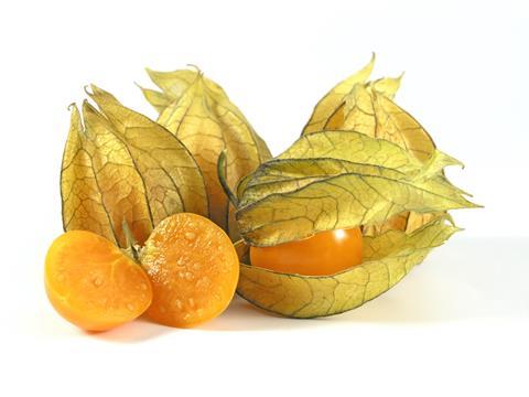 physalis