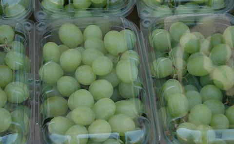 uvas trauben daphne schmidt