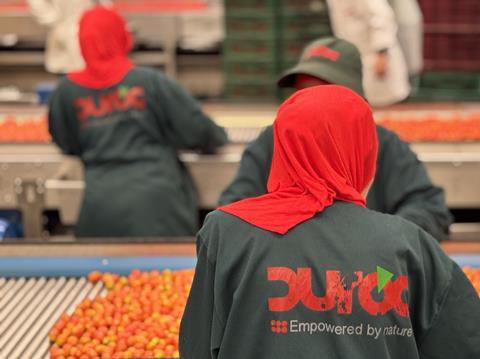 Duroc employee packing tomatoes