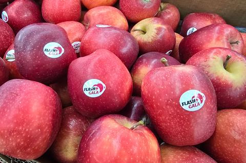 Flash Gala apples