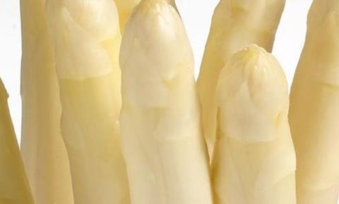 Niederländisches Start-up entwickelt Ernteroboter für Spargel