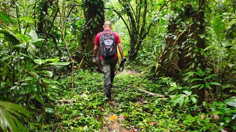 Corbana Cámara trampa Agroforestales 3