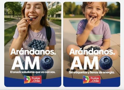 Chilean blueberry promotion in Argentina and Brazil
