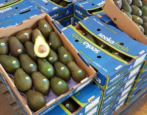 Seeka avocados