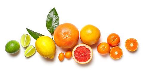 diverse Citrusfrüchte