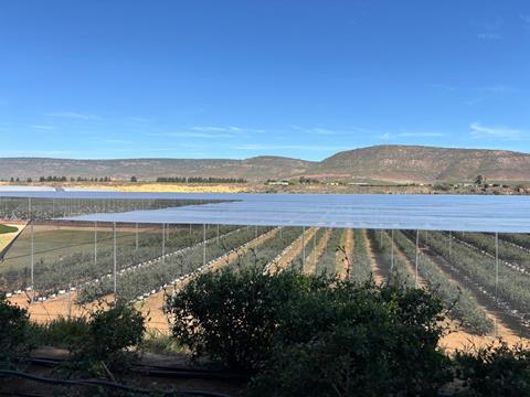 South Africa site 2