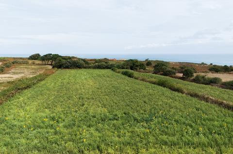 Jersey growers are focusing on sustainable production