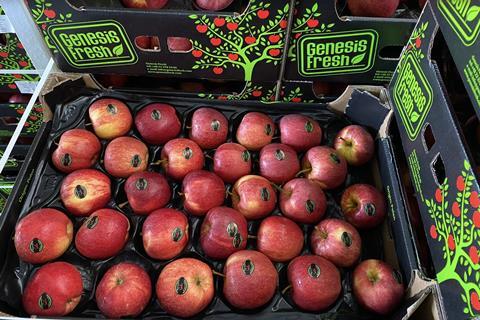 Gala apples Genesis Fresh Poland