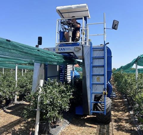 RS BSK blueberry harvester
