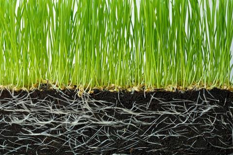SoilPoint is all about boosting soil health