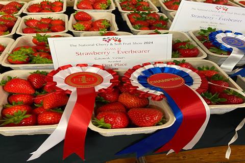 Best Exhibit of Everbearer Strawberry Eves Delight 2 from the Edward Vinson breeding programme,